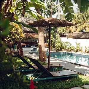 Bed & Breakfast Paddlecult Surf Retreat, Varkala