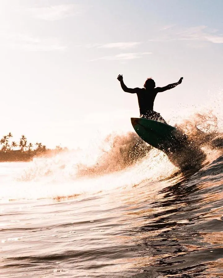 Pointbreak Surf & Stay Varkala 0*,