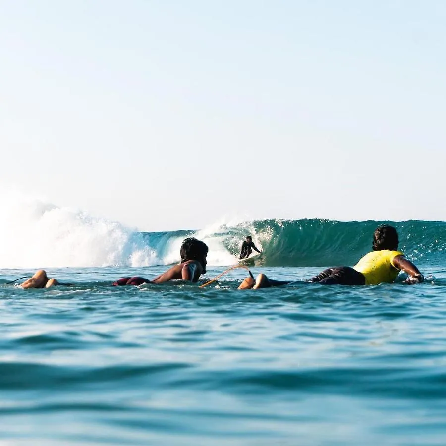 Bed & Breakfast Pointbreak Surf & Stay Varkala India